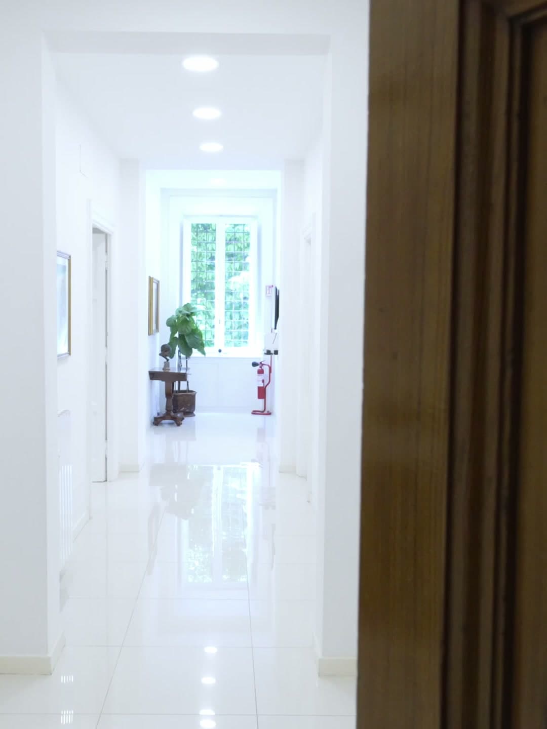 Corridoio d’ingresso dello studio, visto dalla porta a vetri e legno